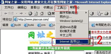 如何通过代理方式浏览网站 资深网站服务商的全面指导