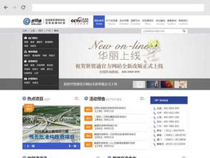 沙漠风网站建设 打造旅游移民公司的数字名片与业务引擎