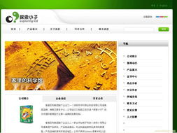 网赢宝 开启企业网站建设与数字营销新纪元